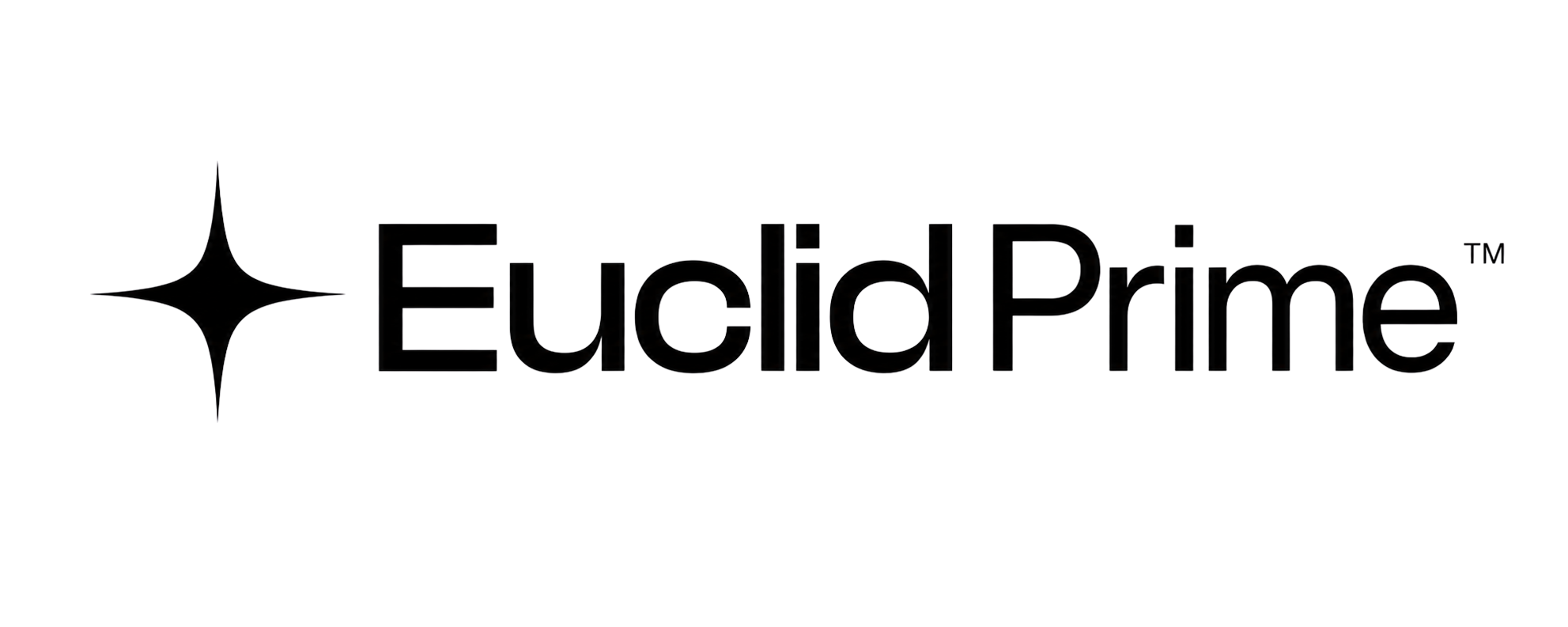 Euclid Prime